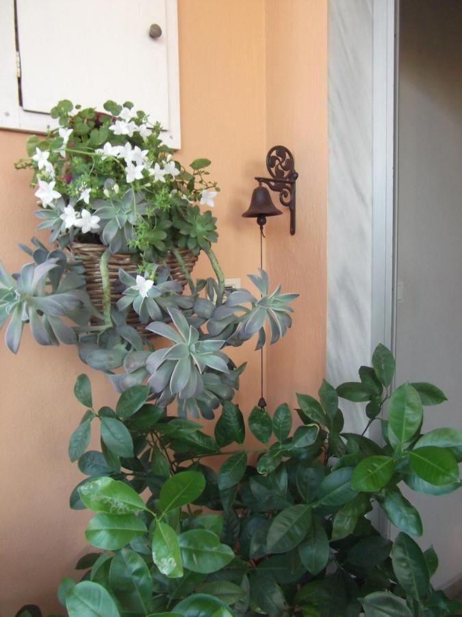 Luxurious Appartments Katerina Platamonas